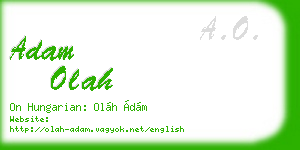 adam olah business card