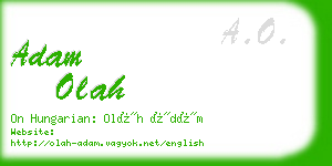 adam olah business card